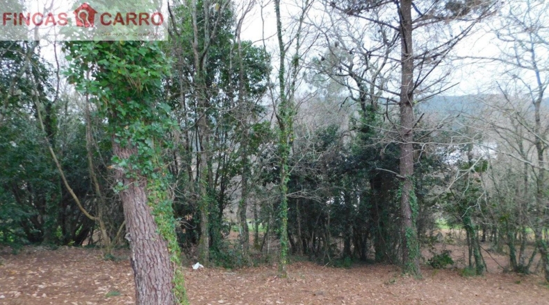Pontevedra - Beade - 1550m2