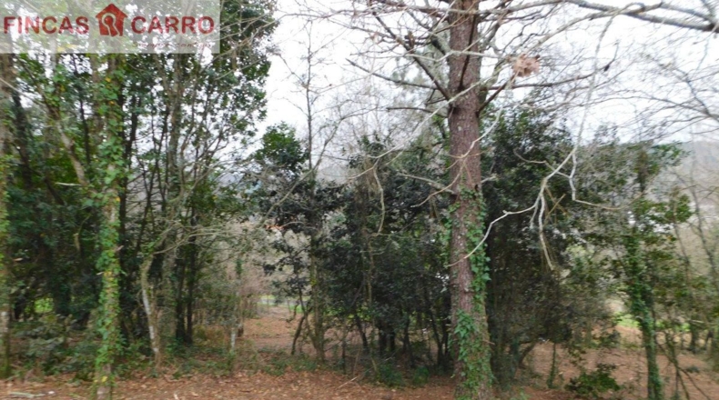 Pontevedra - Beade - 1550m2
