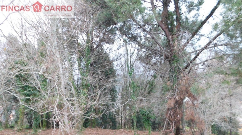 Pontevedra - Beade - 1550m2