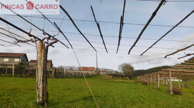 Pontevedra - A Costa - 1432m2