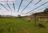 Non-developable land for sale in Barro ref: TR102750 photo