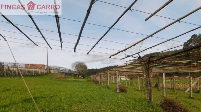 Pontevedra - A Costa - 1432m2