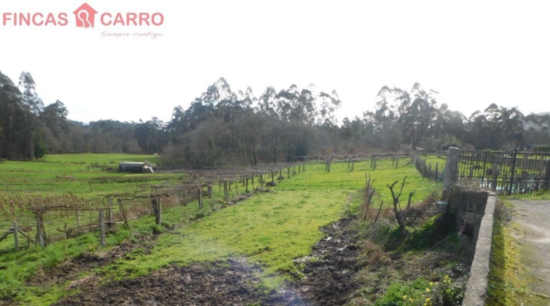 Pontevedra - A Costa - 1432m2