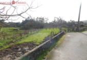 Non-developable land for sale in Barro ref: TR102750 photo
