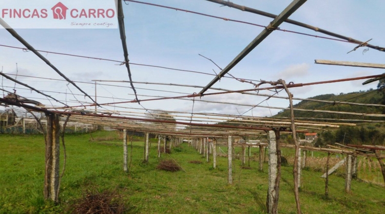 Pontevedra - A Costa - 1432m2