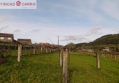 Non-developable land for sale in Barro ref: TR102750 photo