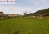 Non-developable land for sale in Barro ref: TR102750 photo