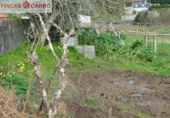 Non-developable land for sale in Barro ref: TR102750 photo