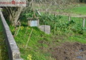 Non-developable land for sale in Barro ref: TR102750 photo