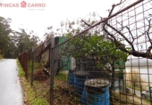 Industrial warehouse for rent in O Castenlo ref: TR285611 photo