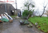 Industrial warehouse for rent in O Castenlo ref: TR285611 photo