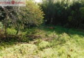 Industrial warehouse for sale in Pontevedra ref: TR187684 photo