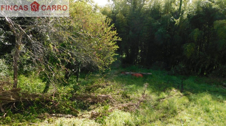Pontevedra - A Cendona - 3500m2