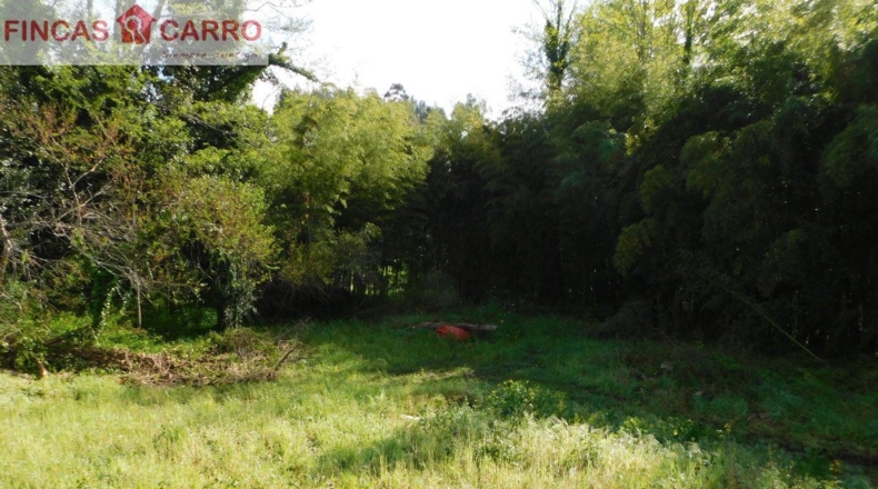 Pontevedra - A Cendona - 3500m2