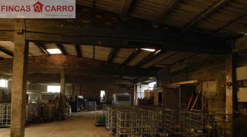 Pontevedra - A Cendona - 3500m2