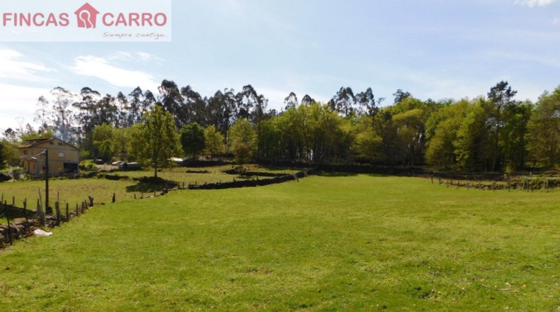 Pontevedra - Gatomorto - 8760m2