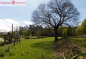 Finca rústica en venda a Pontevedra ref.: TR187687 foto