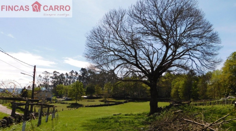 Pontevedra - Gatomorto - 8760m2
