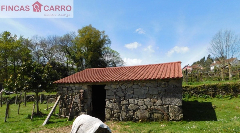 Pontevedra - Gatomorto - 8760m2