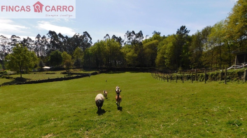 Pontevedra - Gatomorto - 8760m2