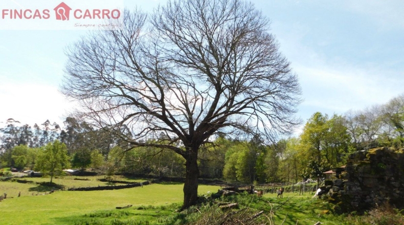 Pontevedra - Gatomorto - 8760m2