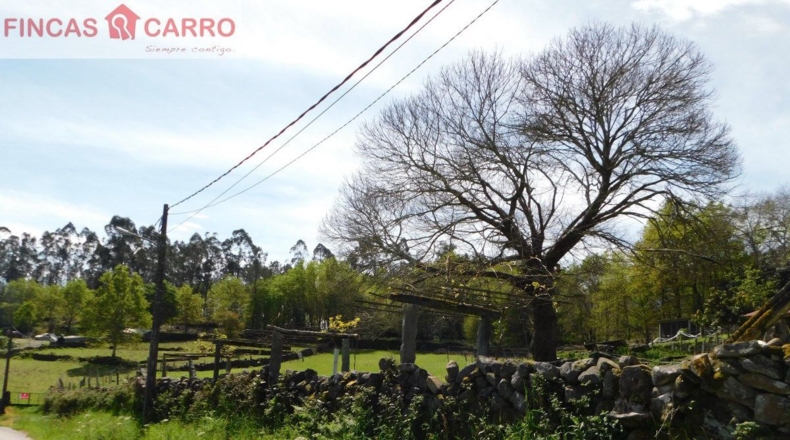 Pontevedra - Gatomorto - 8760m2