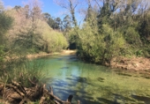 Non-developable land for sale in Sa ref: TR106269 photo