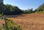 Non-developable land for sale in Sa ref: TR106269 photo