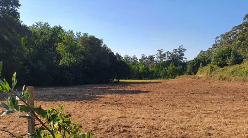 Pontevedra - O Rosal - 11000m2