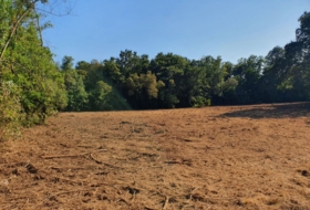 Sa 11000&nbsp;m²