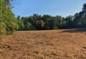 Non-developable land for sale in Sa ref: TR106269 photo