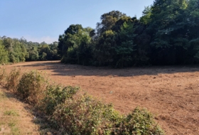 Sa 11000&nbsp;m²