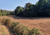 Non-developable land for sale in Sa ref: TR106269 photo