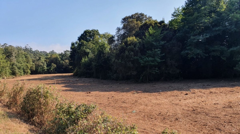 Pontevedra - O Rosal - 11000m2