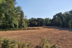 Sa 11000&nbsp;m²