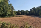 Non-developable land for sale in Sa ref: TR106269 photo