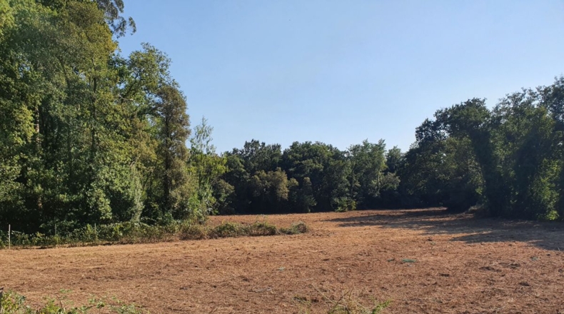 Pontevedra - O Rosal - 11000m2