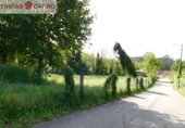 Non-developable land for sale in Pontevedra ref: TR106311 photo