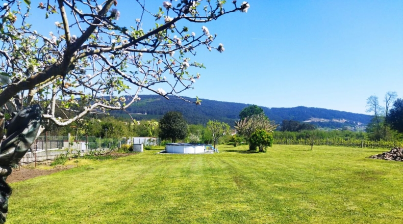 Pontevedra - A Cancela - 2714m2