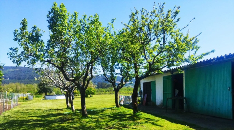 Pontevedra - A Cancela - 2714m2