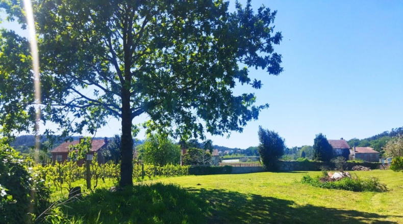 Pontevedra - A Cancela - 2714m2