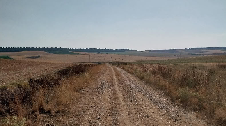 Valladolid - Rueda - 180509m2