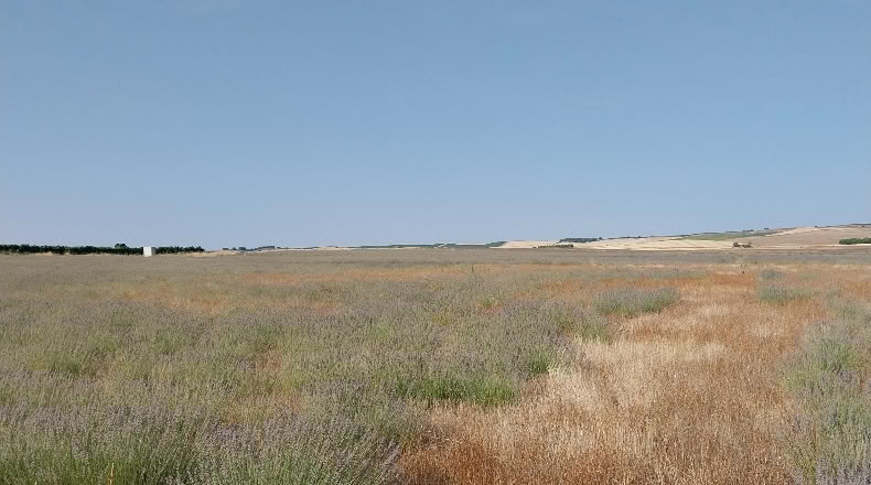 Valladolid - Rueda - 180509m2