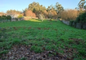Non-developable land for sale in Cerdedo ref: TR109093 photo