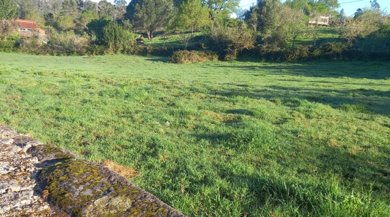 Pontevedra - Ponteareas - 3256m2