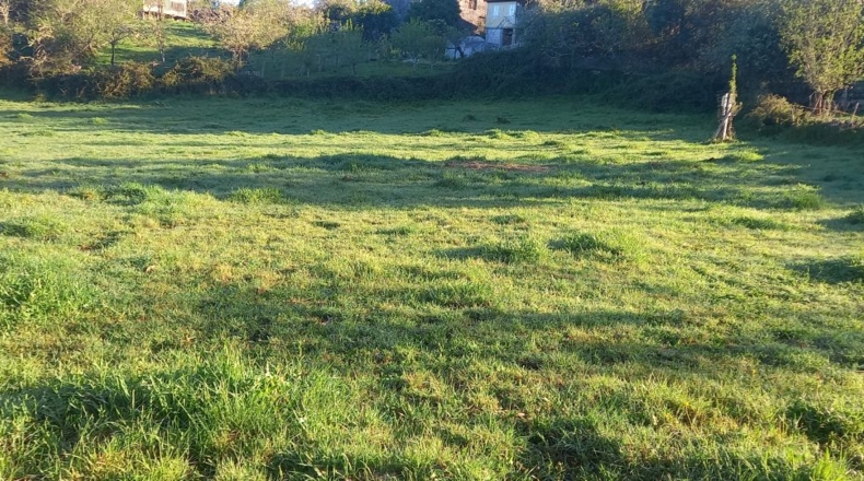 Pontevedra - Ponteareas - 3256m2