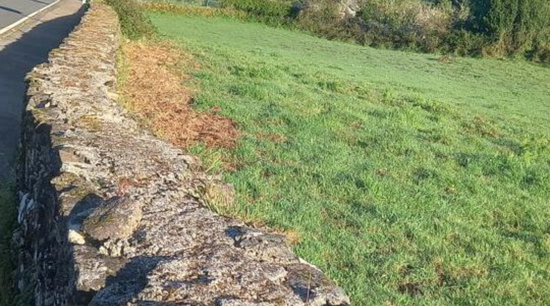 Pontevedra - Ponteareas - 3256m2