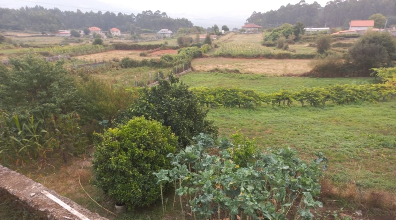 Pontevedra - Ponte Caldelas - 2360m2