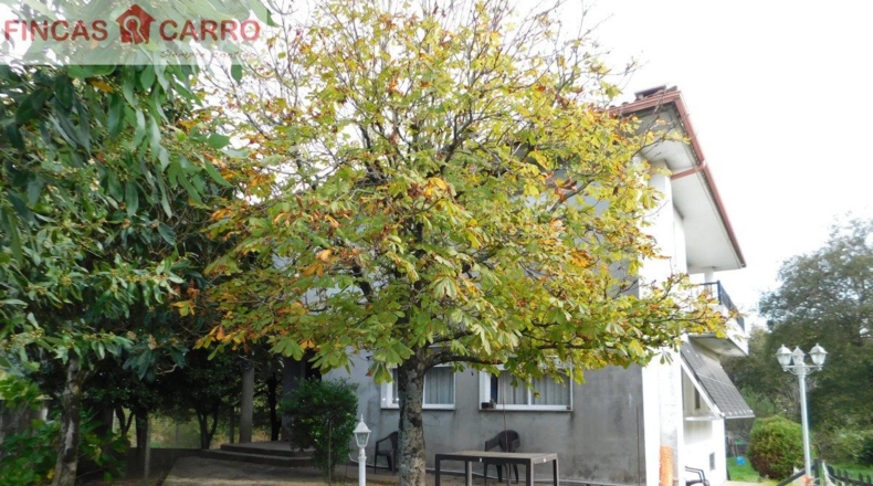 Pontevedra - A Igrexa - 1541m2