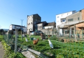 Chalet independiente con terreno en venta en Pontevedra ref: TR203912 foto